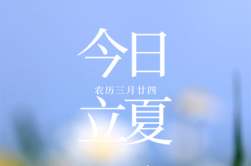 日高蟬鳴春意遠，萬物初壯始立夏-浙江元金包裝有限公司